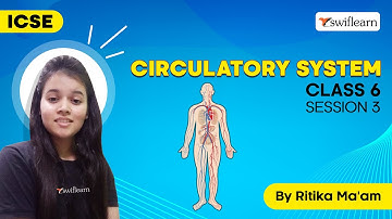 Circulatory System | ICSE Class 6 | Sciene Online Class | Session 3 - Swiflearn