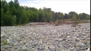 Lupi Nucleo Piemonte Al