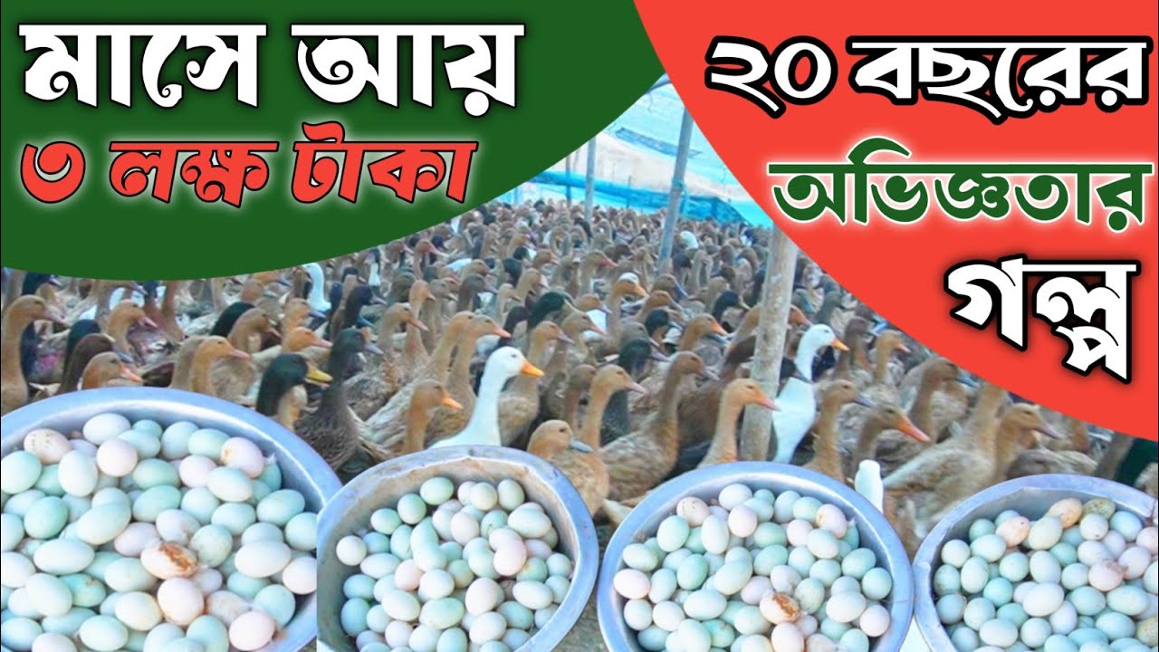 খামারির সফলতার গল্প -- খামারের আয় ব্যয় -- মাসে আয় ৩ লক্ষ টাকা‌