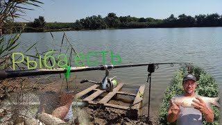 Рыбалка в Крыму, Красногвардейский район. Рыба есть !! #улов #рыбалка #крым