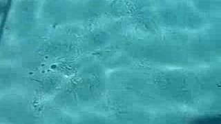 Turbulence Shadowgraphy in a Pool - a Wake II