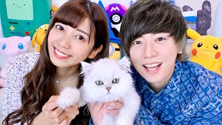 【ご報告】新しい家族が増えました。猫飼います!!【ねこ cat】