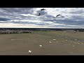 Sussex County Snow Geese