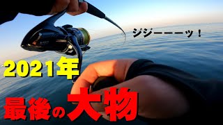 【釣り納め】冬の堤防でショアジギング！青物のボイル発生でチャンスをつかめ！