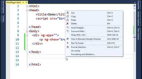Angular JS The ng show  and ng hide Directives