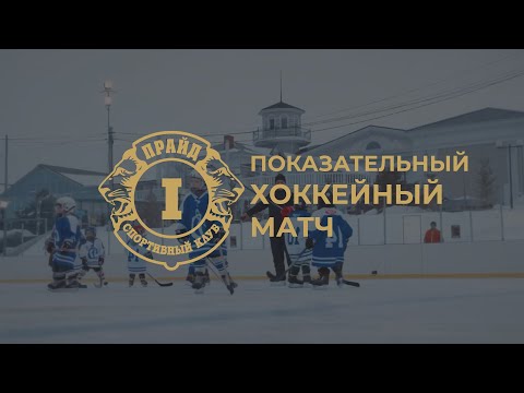 0 - 29 января на ОТКРЫТОМ КАТКЕ СК"ПРАЙД" прошла открытая тренировка и состоялся показательный хоккейный матч.