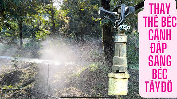 Thay thế béc cánh đập sang béc TĐ02, vườn cây của Siêu Thị Cây Giống  Welofarm