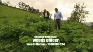 Namoi CMA - Soda Apple Weed - TA814841011.wmv