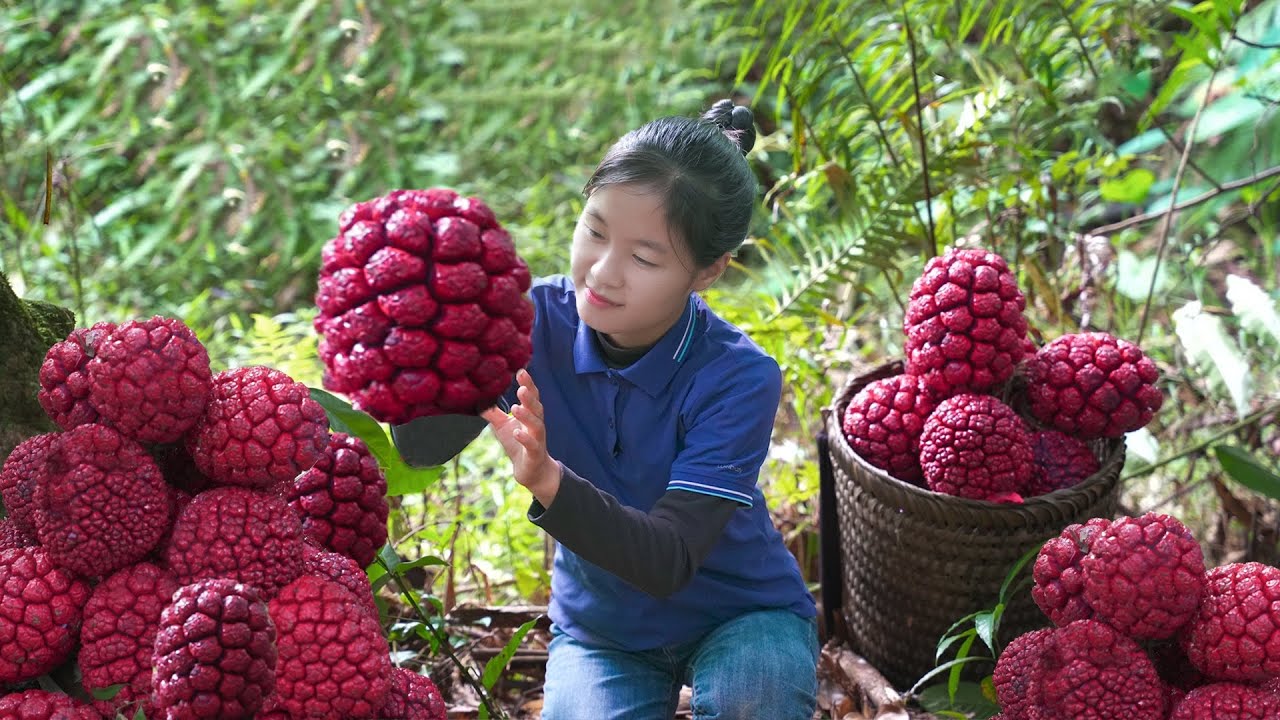 Harvest WILD PINEAPPLE goes to the market sell | Ella Daily Life - YouTube