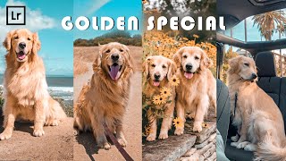 Lightroom Presets Free Download│" Golden Hour " Presets │Photo Editing Tutorial screenshot 1