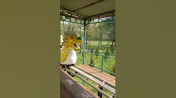 tàu lượn siêu tốc