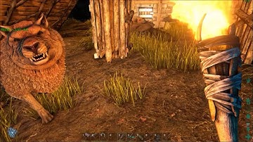 ARK  Survival Evolved Easy Taming of a 112 Direwolf