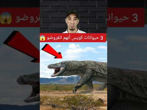 3 حيوانات هتحمد ربنا أنهم انقروضو 