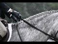 Prime || Equestrian Music Video