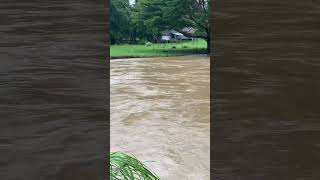 It’s coming, get ready for flood. #rain #flood
