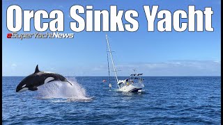 Orca Whale Sinks Yacht! | Seized Yacht Flees Port in Italy! | SY News Ep161