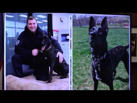 Retired Pocono Mountain Regional Police K-9 dies