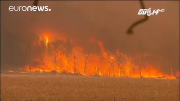 (VTC14)_Australia: Cháy rừng nghiêm trọng do nắng nóng 45 độ C