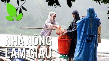 Những lưu ý nuôi cá trong mùa đông I VTC16