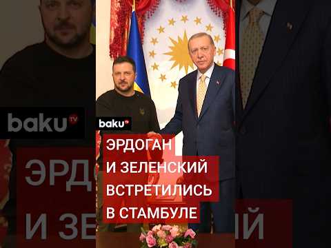 Президент Турции Реджеп Тайип Эрдоган встретился с Зеленским