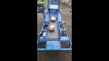 Arduino Prototype Coconut Counting and Weighing