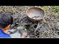 Khám Phá Vũng Đầm Lầy Bỏ Hoang Và Phát Hiện Điều Kì Lạ Trong Hang Catch fish in the cave