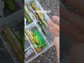 fishing tips! #fishing #fishingtips #bassfishing #lovefishing #luresfishing #largemouthbass