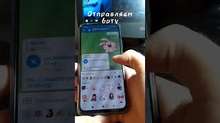 Как скачать стикеры в Телеграм screenshot 1