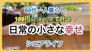 【60代一人暮らし】穏やかな自分時間/2月ダイソーで買ったもの/自宅のバラの花を生ける/寂聴さんのお話/60代一人暮らしvlog