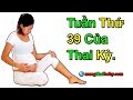 ✅ Sự Hình THành Và PhÁT Triển Của Thai Nhi Tuần Thứ 39 Của 3 Tháng Cuối Thai Kỳ | Mang Thai Tuần 39