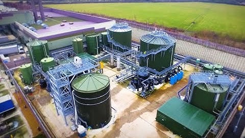 Case Study Arla Foods United Kingdom