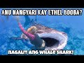 ANU NANGYARI KAY ETHEL BOOBA SA WHALE SHARK DIVING???