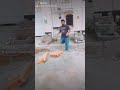 سلام علیکم و رحمه الله و برکات سلام علیکم و رحمه الله و برکات