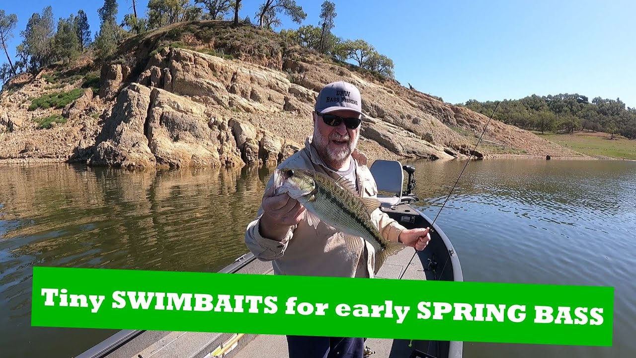 Tiny Swimbaits for early Spring Bass