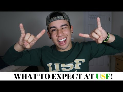 what-to-expect-at-usf-/-first-time-advice