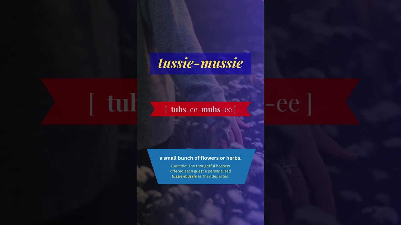 Embark on a Tussie-Mussie Language Adventure with AAEC GLOBAL! 🌍📚 