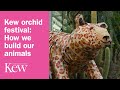 Kew orchid festival: How we build our animals