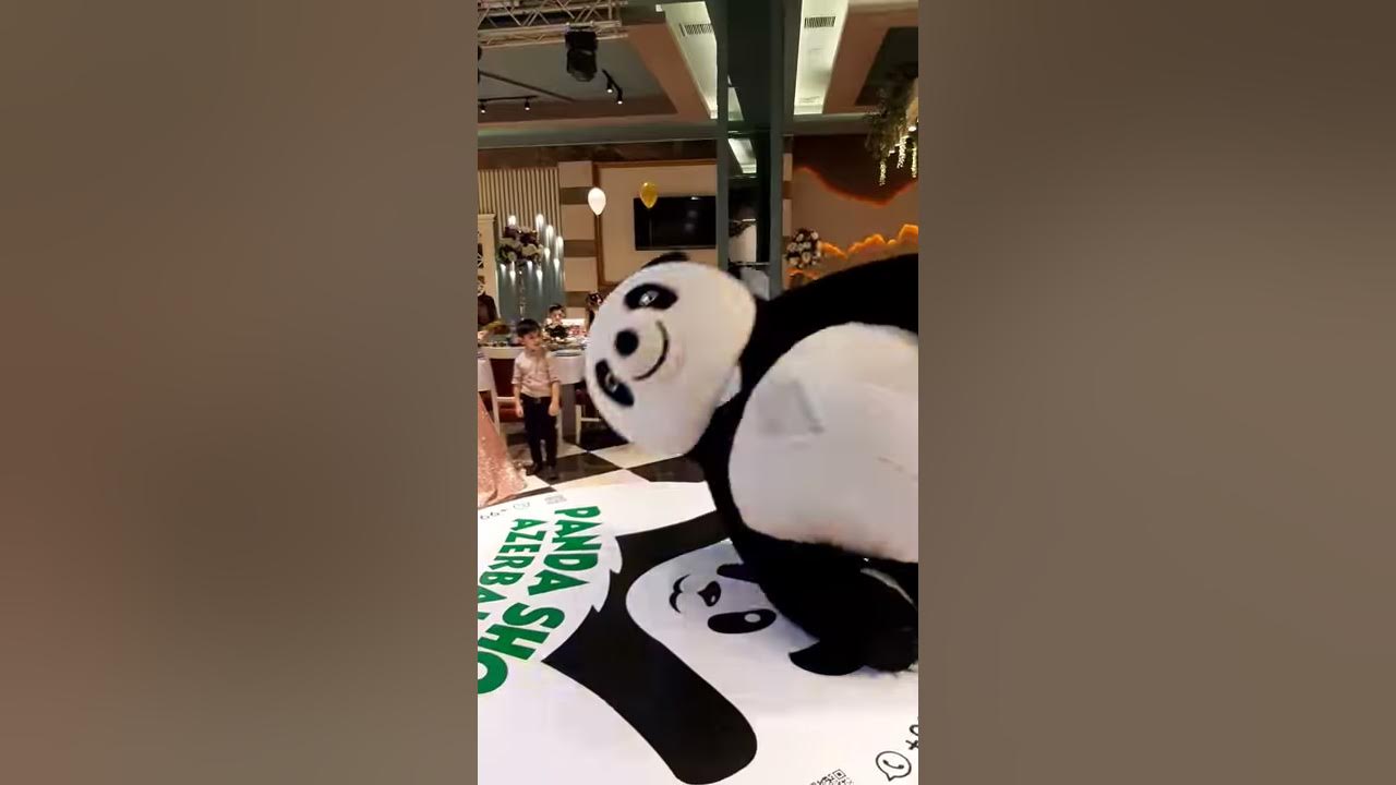 Panda show YouTube