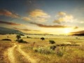 Country Quotes and Sayings