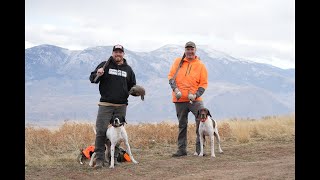 Idaho Chukar: B3 Roadtrip Ep 2