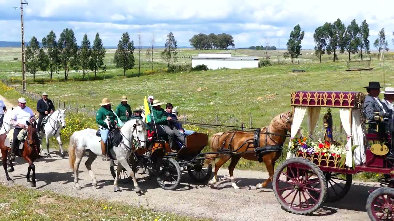 XXII Romaria a Cavalo São Brás - Viana do Alentejo 2024