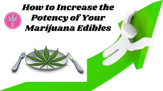 How to Make the Strongest Edibles Possible