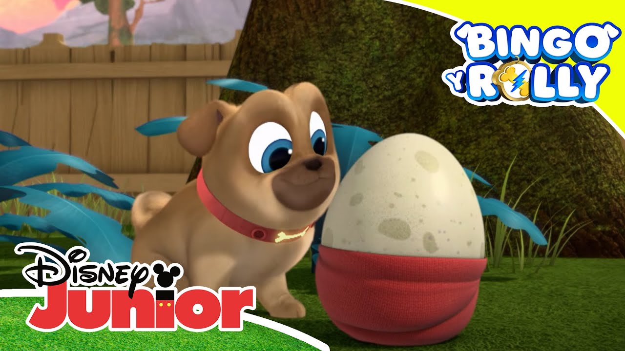 Bingo y Rolly: Cuidando de Huevi | Disney Junior Oficial - YouTube