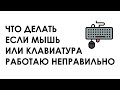 Что делать если мышь или клавиатура глючат, тормозят или работают неправильно