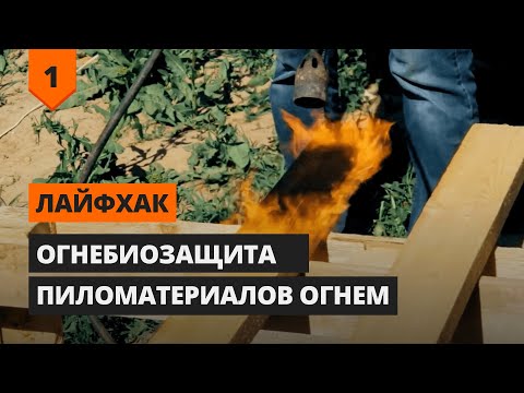 Лайфхак | Как защитить древесину от огня и гниения без химии