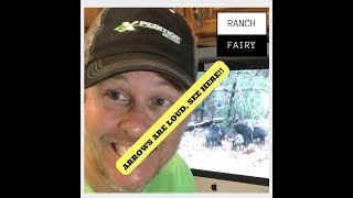 Fletching Noise and Animals Jumping the String l Ranch Fairy TEST LAB