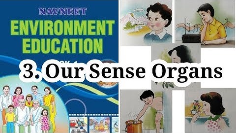 3. Our Sense Organs|| STD 1|| EVS