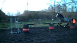 Jonckman Van De Kooldries 025