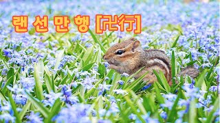 랜선만행[卍行] -지금 시대에 할 수있는 만행[卍行]