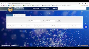 How To Check Your NAPSA Contributions Online
